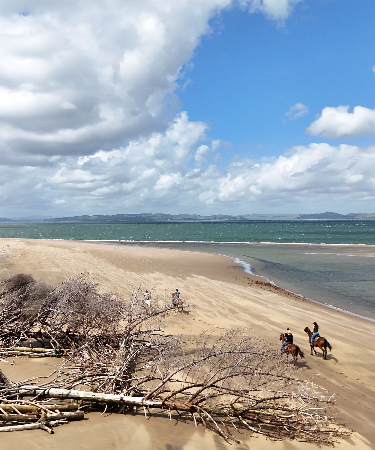 Riders on a private Henare Horse Treks ride at Pouto